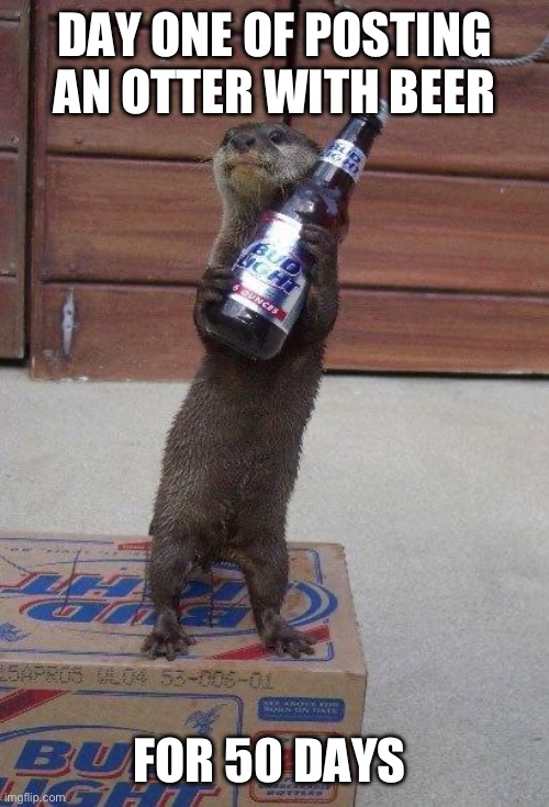 Day one of posting an otter with a beer | DAY ONE OF POSTING AN OTTER WITH BEER; FOR 50 DAYS | image tagged in beer otter,memes,funny,animals | made w/ Imgflip meme maker