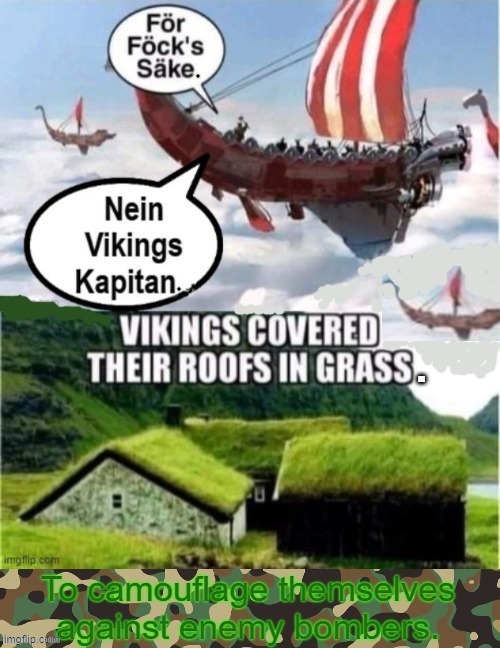 The importance of Camouflage ! | image tagged in vikings | made w/ Imgflip meme maker