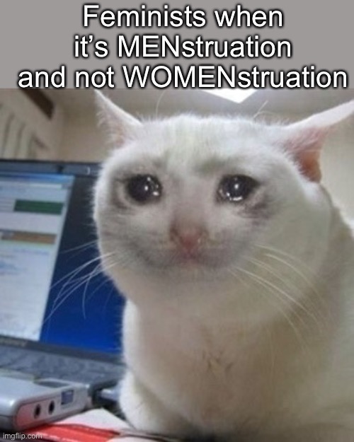 Crying cat | Feminists when it’s MENstruation and not WOMENstruation | image tagged in crying cat | made w/ Imgflip meme maker