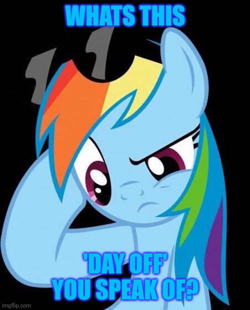 Confused Rainbow Dash | WHATS THIS 'DAY OFF' YOU SPEAK OF? | image tagged in confused rainbow dash | made w/ Imgflip meme maker