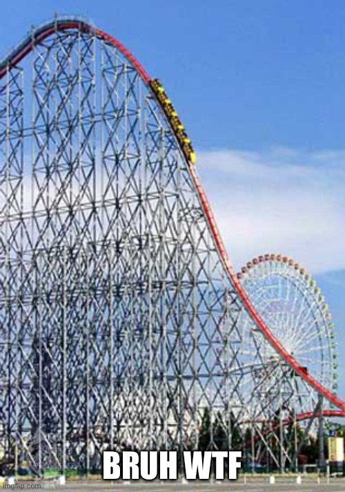 Rollercoaster  | BRUH WTF | image tagged in rollercoaster | made w/ Imgflip meme maker