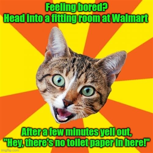 Have a little fun. | Feeling bored?
Head into a fitting room at Walmart; After a few minutes yell out,
"Hey, there's no toilet paper in here!" | image tagged in memes,bad advice cat,funny | made w/ Imgflip meme maker
