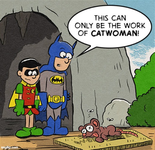 Catwoman's Gift | image tagged in catwoman | made w/ Imgflip meme maker