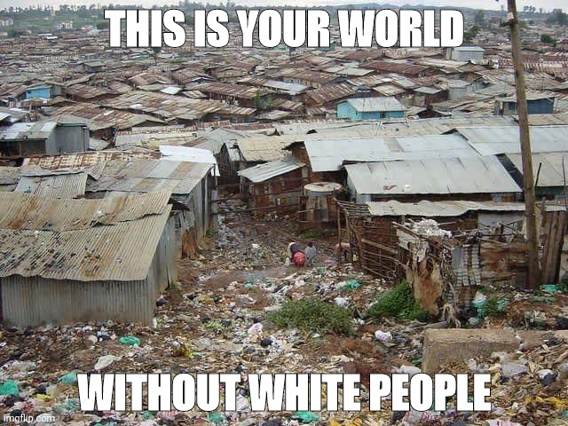 White people don't exist in this community and it shows. | THIS IS YOUR WORLD; WITHOUT WHITE PEOPLE | image tagged in memes | made w/ Imgflip meme maker