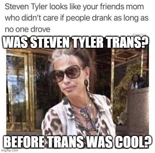 Was He Trans Before Trans Was Cool? | WAS STEVEN TYLER TRANS? BEFORE TRANS WAS COOL? | image tagged in was he trans before trans was cool | made w/ Imgflip meme maker