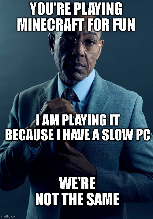 Gus Fring we are not the same | YOU'RE PLAYING MINECRAFT FOR FUN; I AM PLAYING IT BECAUSE I HAVE A SLOW PC; WE'RE NOT THE SAME | image tagged in gus fring we are not the same | made w/ Imgflip meme maker