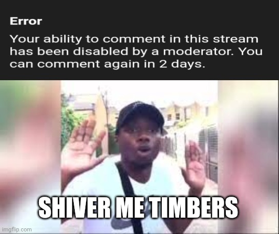 Got my first ban on this website (Furries Stream) (mod note: congrats this is like a bar mitzvah to a jewish person) | SHIVER ME TIMBERS | image tagged in shiver me timbers,anti furry,im so scared | made w/ Imgflip meme maker
