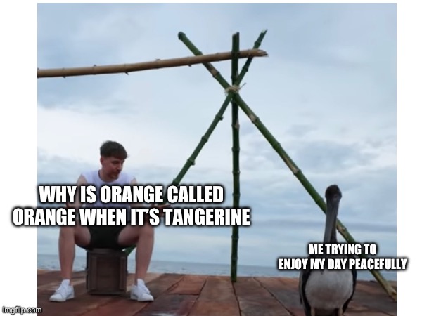 WHY IS ORANGE CALLED ORANGE WHEN IT’S TANGERINE; ME TRYING TO ENJOY MY DAY PEACEFULLY | image tagged in mrbeast | made w/ Imgflip meme maker