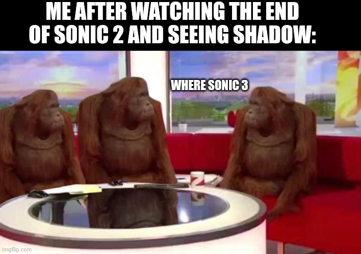 It has been too much time | ME AFTER WATCHING THE END OF SONIC 2 AND SEEING SHADOW:; WHERE SONIC 3 | image tagged in where monkey,memes,sonic | made w/ Imgflip meme maker