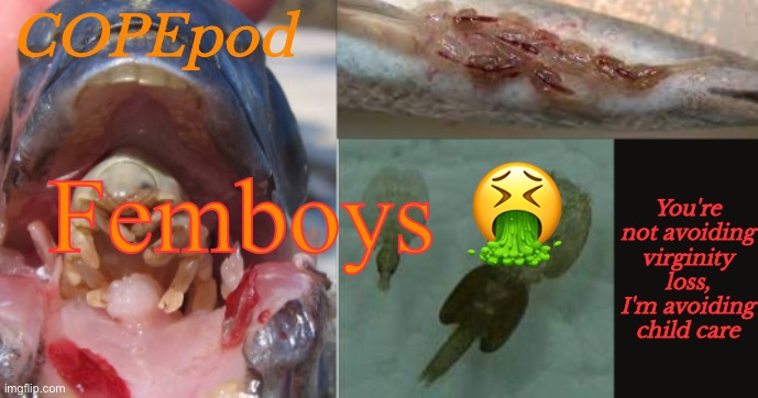 COPEpod's announcement template | Femboys 🤮 | image tagged in copepod's announcement template | made w/ Imgflip meme maker