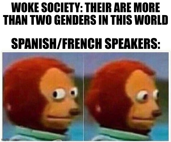 Monkey Puppet | WOKE SOCIETY: THEIR ARE MORE THAN TWO GENDERS IN THIS WORLD; SPANISH/FRENCH SPEAKERS: | image tagged in memes,monkey puppet | made w/ Imgflip meme maker