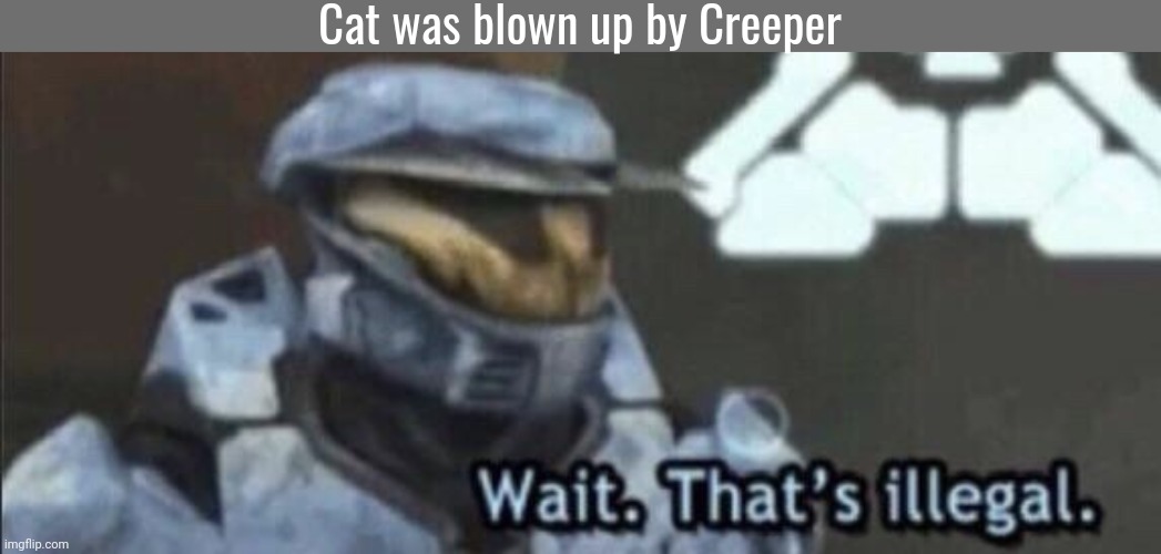 Cat was blown up by Creeper | image tagged in minecraft death message,wait that s illegal | made w/ Imgflip meme maker