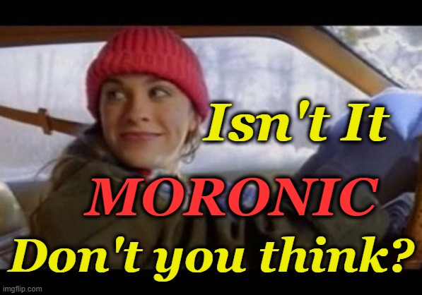 Alanis wonders | Isn't It; MORONIC; Don't you think? | image tagged in alanis ironic | made w/ Imgflip meme maker