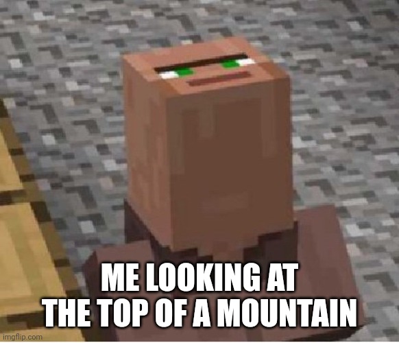 Minecraft Villager Looking Up | ME LOOKING AT THE TOP OF A MOUNTAIN | image tagged in minecraft villager looking up | made w/ Imgflip meme maker