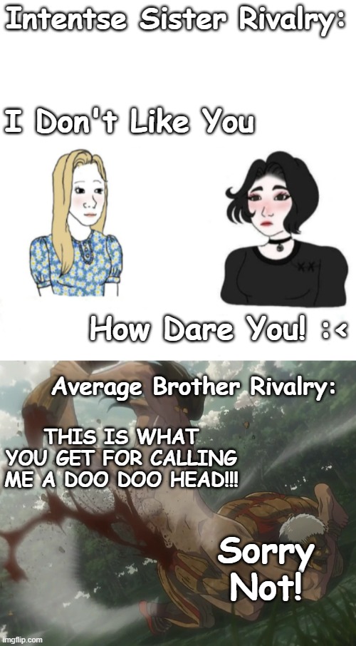 Sibling Vs Sibling | Intentse Sister Rivalry:; I Don't Like You; How Dare You! :<; Average Brother Rivalry:; THIS IS WHAT YOU GET FOR CALLING ME A DOO DOO HEAD!!! Sorry Not! | image tagged in brothers,relatable,attack on titan,aot,snk,shingeki no kyojin | made w/ Imgflip meme maker