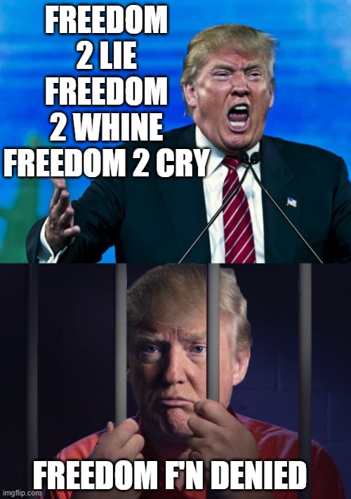 Freedom 2 Crime - Don't Cry When Your Freedom Is Denied - Lock Him Up | FREEDOM 2 LIE FREEDOM 2 WHINE FREEDOM 2 CRY; FREEDOM F'N DENIED | image tagged in trump yelling,trump in jail,rino,maga,crooked hillary,change my mind | made w/ Imgflip meme maker