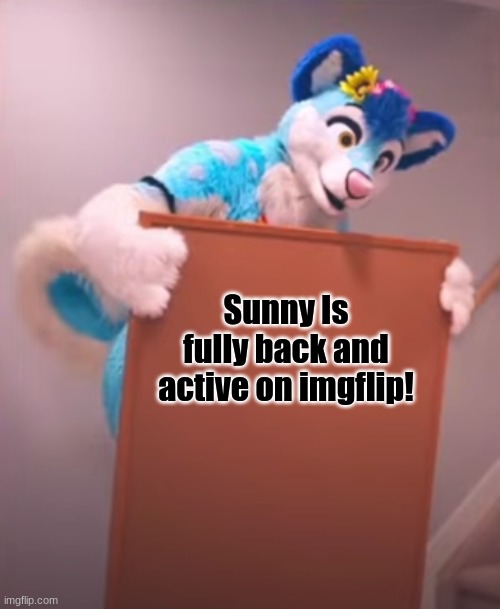Im back! (fursuit is Fluke Husky) | Sunny Is fully back and active on imgflip! | image tagged in fluke husky bulletin board,furry,the furry fandom,furry memes,im back | made w/ Imgflip meme maker