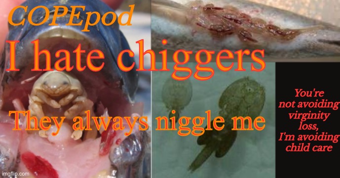 COPEpod's announcement template | I hate chiggers; They always niggle me | image tagged in copepod's announcement template | made w/ Imgflip meme maker