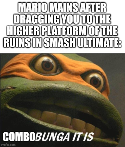 A meme for every character #1 | MARIO MAINS AFTER DRAGGING YOU TO THE HIGHER PLATFORM OF THE RUINS IN SMASH ULTIMATE:; COMBO | image tagged in cowabunga it is,memes,super smash bros | made w/ Imgflip meme maker