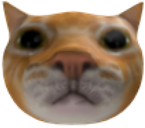 High Quality Cat Head Blank Meme Template