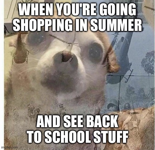 Even after graduation, hearing/reading "Back to School" gives you Vietnam Flashbacks | WHEN YOU'RE GOING SHOPPING IN SUMMER; AND SEE BACK TO SCHOOL STUFF | image tagged in ptsd chihuahua | made w/ Imgflip meme maker