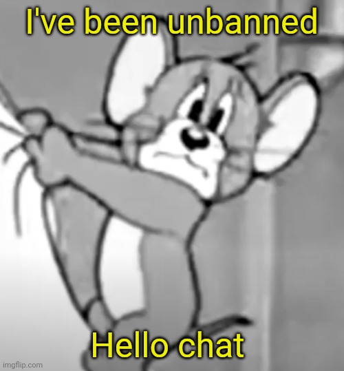 awww the skrunkly | I've been unbanned; Hello chat | image tagged in awww the skrunkly | made w/ Imgflip meme maker