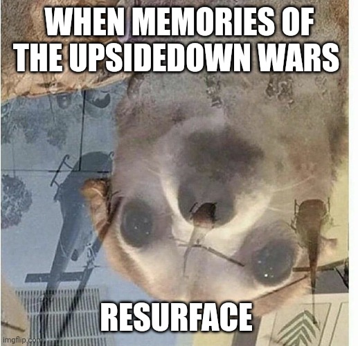 The great upsidedown wars | WHEN MEMORIES OF THE UPSIDEDOWN WARS; RESURFACE | image tagged in ptsd chihuahua | made w/ Imgflip meme maker