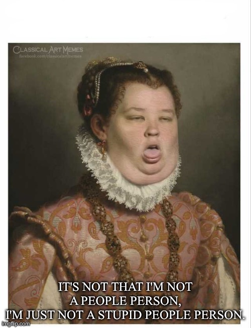 Who is? | IT'S NOT THAT I'M NOT A PEOPLE PERSON,
I'M JUST NOT A STUPID PEOPLE PERSON. | image tagged in classical art disgust,people,stupid people | made w/ Imgflip meme maker