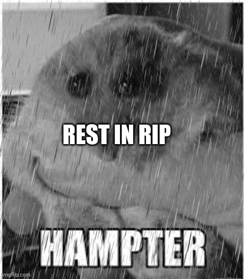 REST IN RIP | made w/ Imgflip meme maker