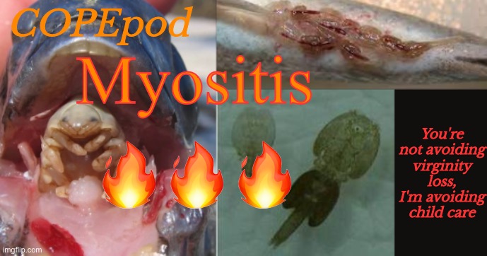 COPEpod's announcement template | Myositis; 🔥🔥🔥 | image tagged in copepod's announcement template | made w/ Imgflip meme maker