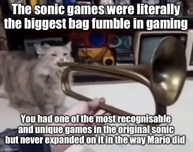 So few mechanics were added over the years and the dev team sucked eventually | The sonic games were literally the biggest bag fumble in gaming; You had one of the most recognisable and unique games in the original sonic but never expanded on it in the way Mario did | made w/ Imgflip meme maker