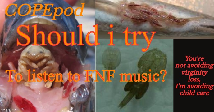 COPEpod's announcement template | Should i try; To listen to FNF music? | image tagged in copepod's announcement template | made w/ Imgflip meme maker