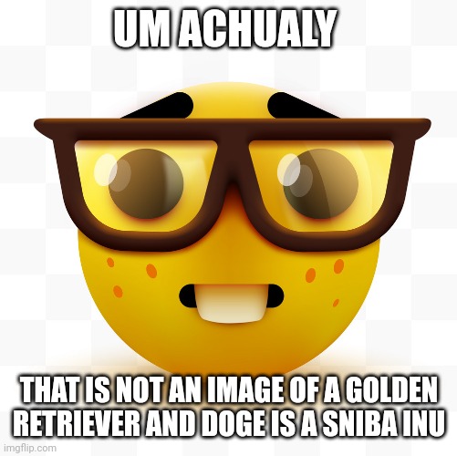 Nerd emoji | UM ACHUALY THAT IS NOT AN IMAGE OF A GOLDEN RETRIEVER AND DOGE IS A SNIBA INU | image tagged in nerd emoji | made w/ Imgflip meme maker