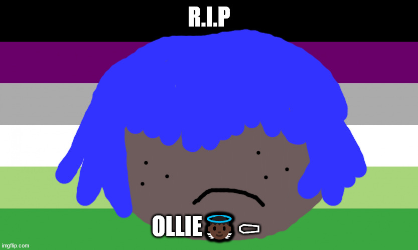 Nodnol | R.I.P; OLLIE👼🏿⚰ | image tagged in aroace flag | made w/ Imgflip meme maker