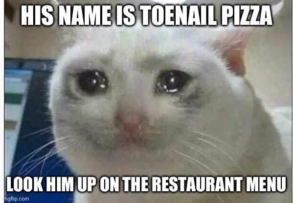 crying cat | HIS NAME IS TOENAIL PIZZA; LOOK HIM UP ON THE RESTAURANT MENU | image tagged in crying cat | made w/ Imgflip meme maker