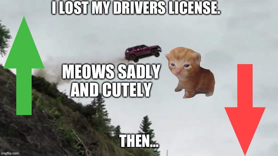 I MISS MY KITTY ??????? | I LOST MY DRIVERS LICENSE. MEOWS SADLY AND CUTELY; THEN… | image tagged in kitty,cars,scared cat,meow,cute cat,sad | made w/ Imgflip meme maker
