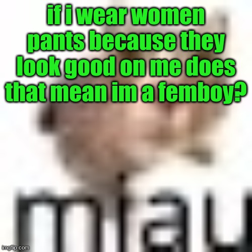 miau very small | if i wear women pants because they look good on me does that mean im a femboy? | image tagged in miau very small | made w/ Imgflip meme maker