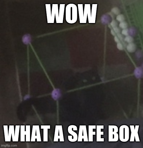 He sat there for an hour | WOW; WHAT A SAFE BOX | image tagged in cat-in-the-box games | made w/ Imgflip meme maker