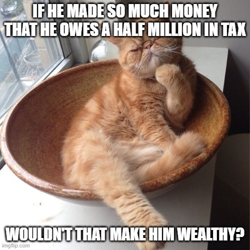 Wondering cat | IF HE MADE SO MUCH MONEY THAT HE OWES A HALF MILLION IN TAX WOULDN'T THAT MAKE HIM WEALTHY? | image tagged in wondering cat | made w/ Imgflip meme maker