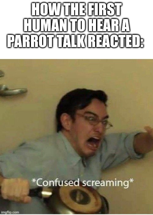 confused screaming | HOW THE FIRST HUMAN TO HEAR A PARROT TALK REACTED: | image tagged in confused screaming | made w/ Imgflip meme maker