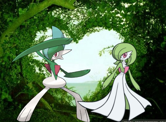 Gallade and Gardevoir enjoying a romantic moment | image tagged in nature heart | made w/ Imgflip meme maker