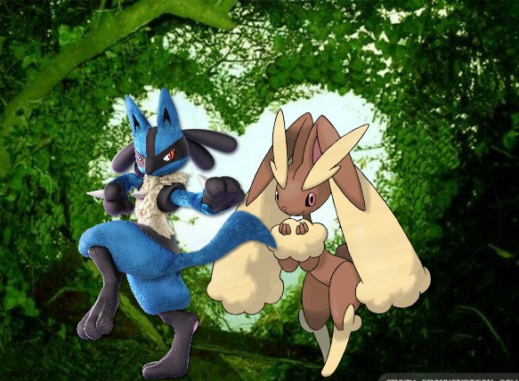 Lucario and Lopunny enjoying a romantic moment | image tagged in nature heart | made w/ Imgflip meme maker