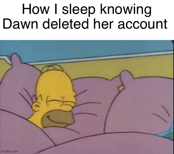 Good vibes | How I sleep knowing Dawn deleted her account | made w/ Imgflip meme maker