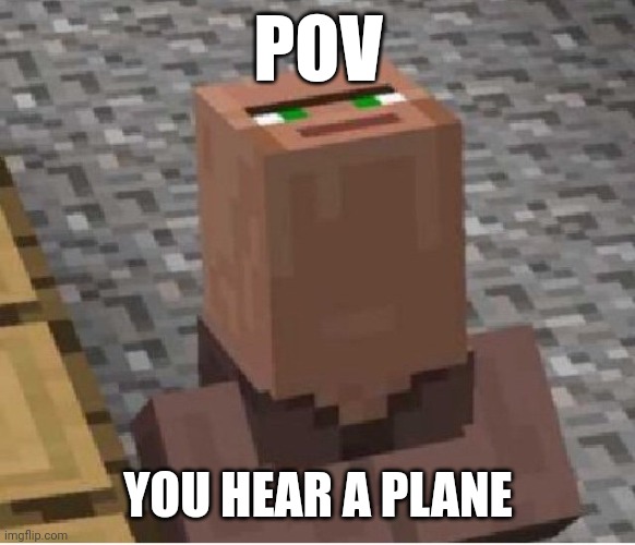 This is a law of nature | POV; YOU HEAR A PLANE | image tagged in minecraft villager looking up | made w/ Imgflip meme maker