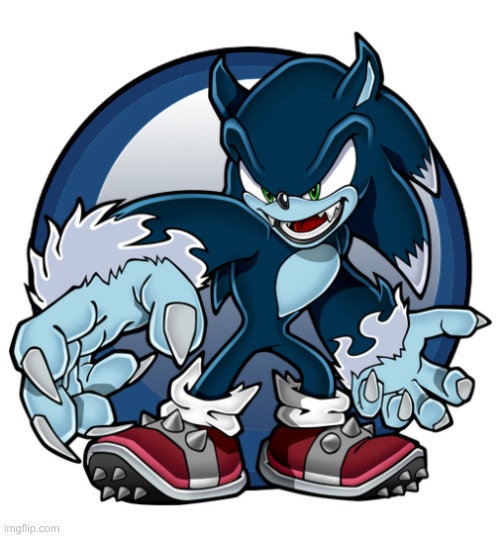 Sonic the Werehog | image tagged in sonic the werehog | made w/ Imgflip meme maker