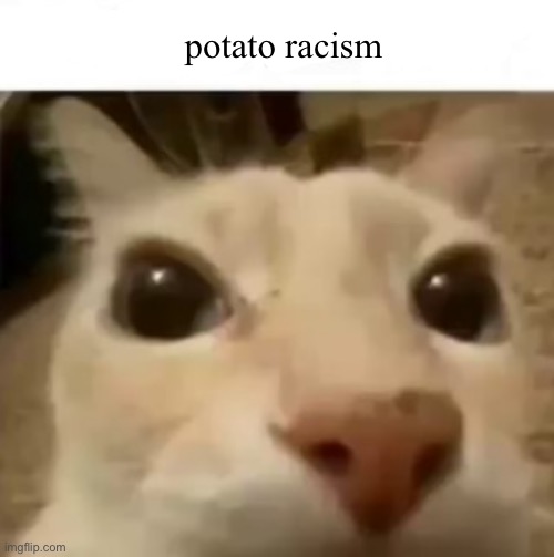 potato racism | potato racism | image tagged in potato racism | made w/ Imgflip meme maker
