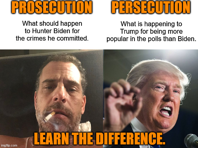 Democrats have stooped lower than politics has ever stooped with all of these bogus indictments. | PROSECUTION; PERSECUTION; What is happening to Trump for being more popular in the polls than Biden. What should happen to Hunter Biden for the crimes he committed. LEARN THE DIFFERENCE. | image tagged in democrats have shot themselves in the foot,bogus indictments,dems are running scared,can't cheat like last time | made w/ Imgflip meme maker