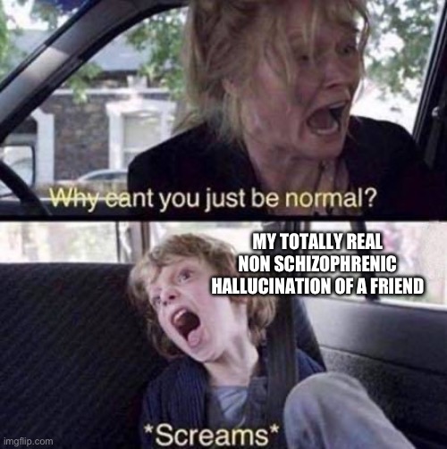 GUYS HES REAL | MY TOTALLY REAL NON SCHIZOPHRENIC HALLUCINATION OF A FRIEND | image tagged in why can't you just be normal,fresh memes | made w/ Imgflip meme maker