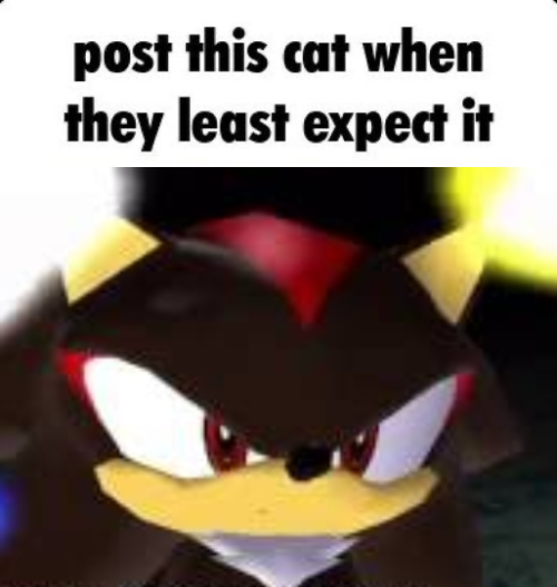 shadow post this cat when they least expect it Blank Meme Template