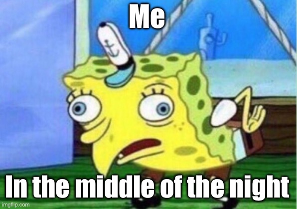 Mocking Spongebob | Me; In the middle of the night | image tagged in memes,mocking spongebob | made w/ Imgflip meme maker